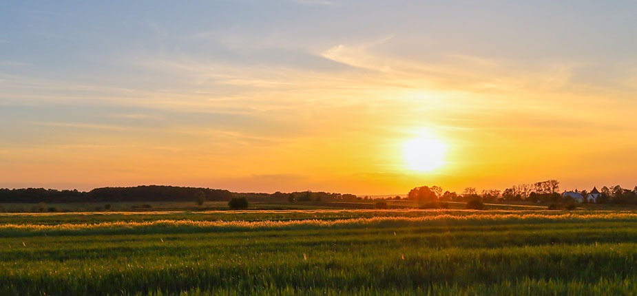 sun-ball-setting-over-Michigan-FEAT